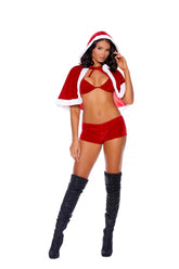 Santa's Naughty Helper 3-Piece Adult Costume Large Red Velvet Costumes